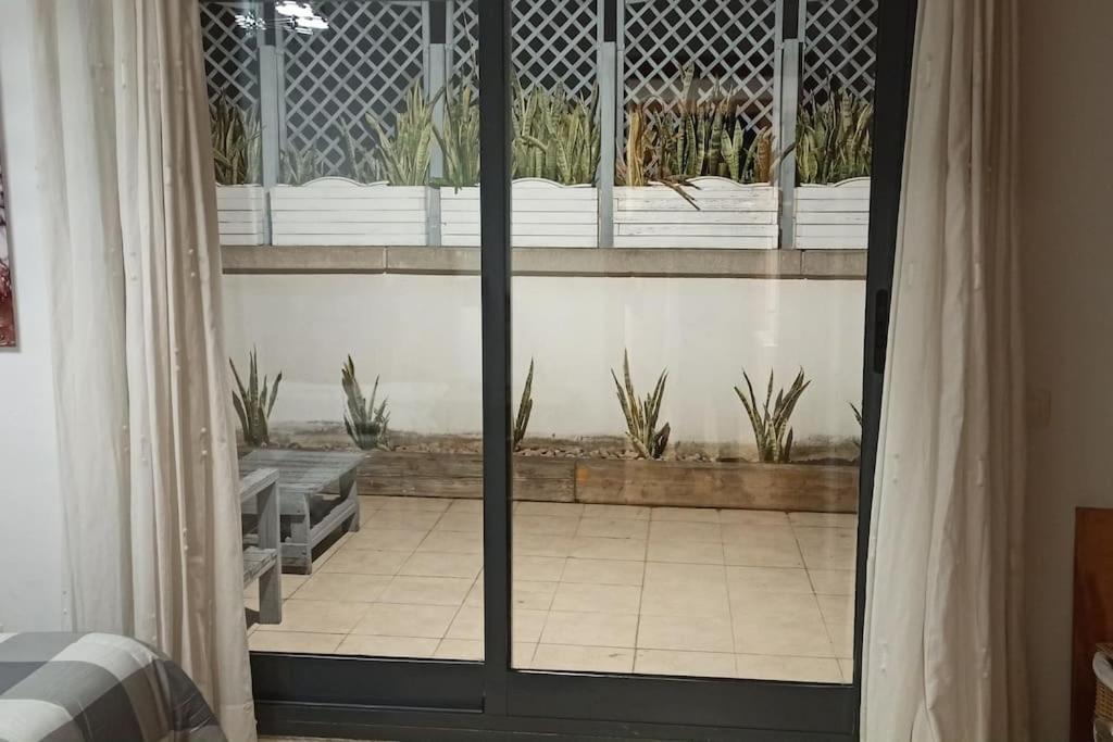 Ferienwohnung Atico En Paiporta Con 2 Grandes Terrazas Valencia Exterior foto